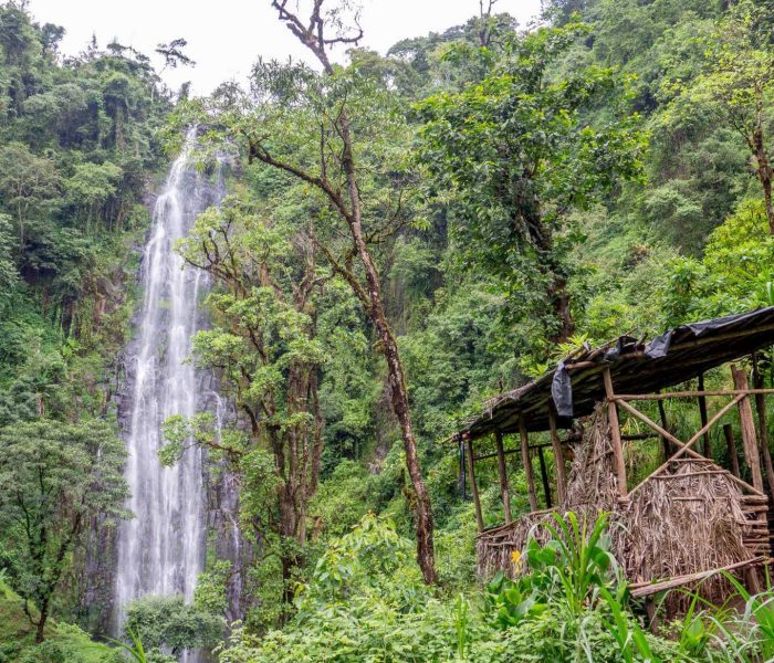 materuni waterfall cofee